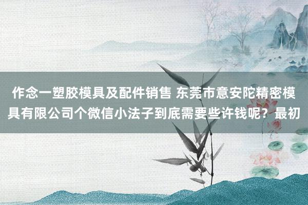 作念一塑胶模具及配件销售 东莞市意安陀精密模具有限公司个微信小法子到底需要些许钱呢？最初